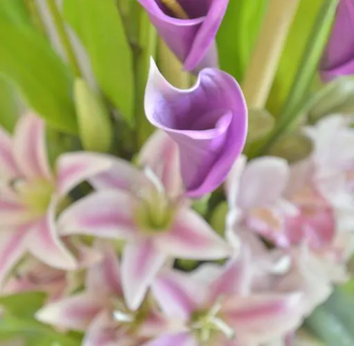 Hotel Renoir Montparnasse